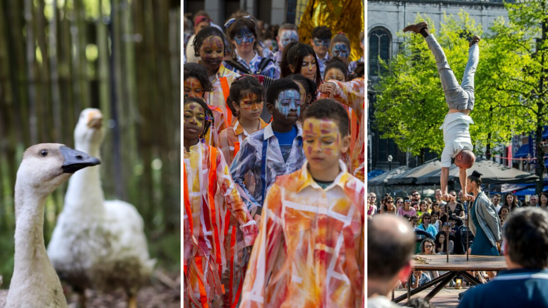 Brussels for kids: What to do with your family this weekend – 30 to 31 May