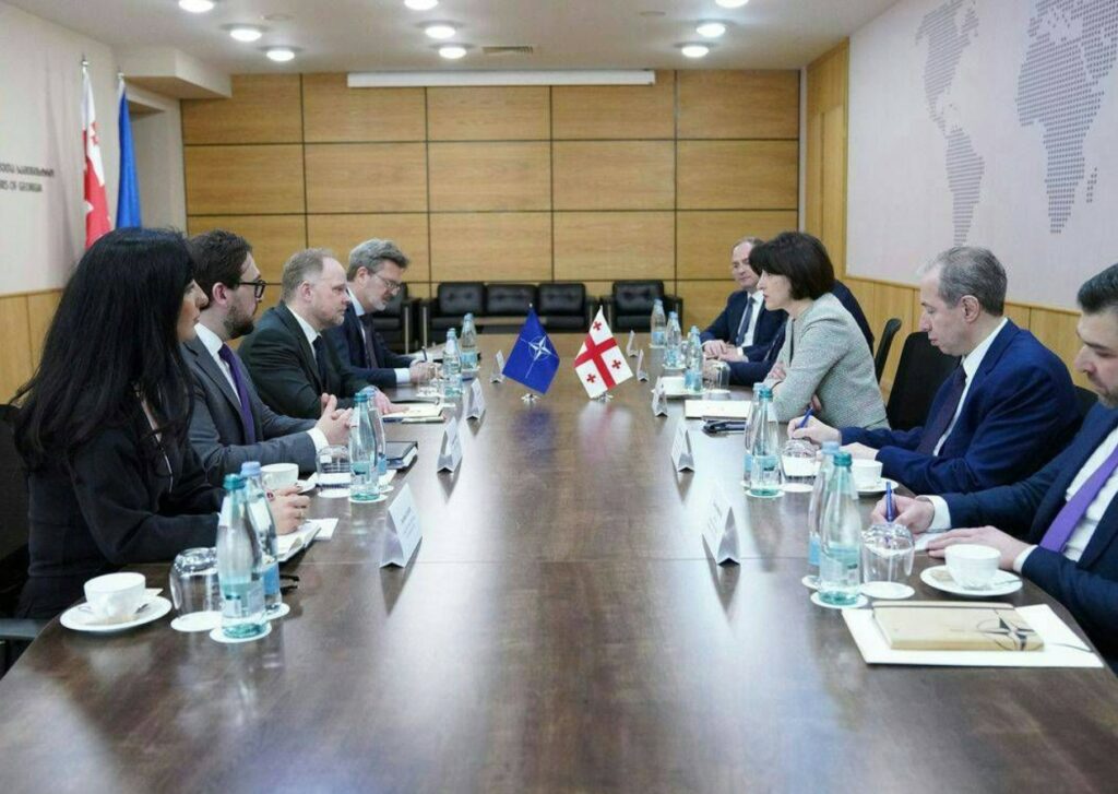 NATO backs Georgian sovereignty as envoy tours tense border region