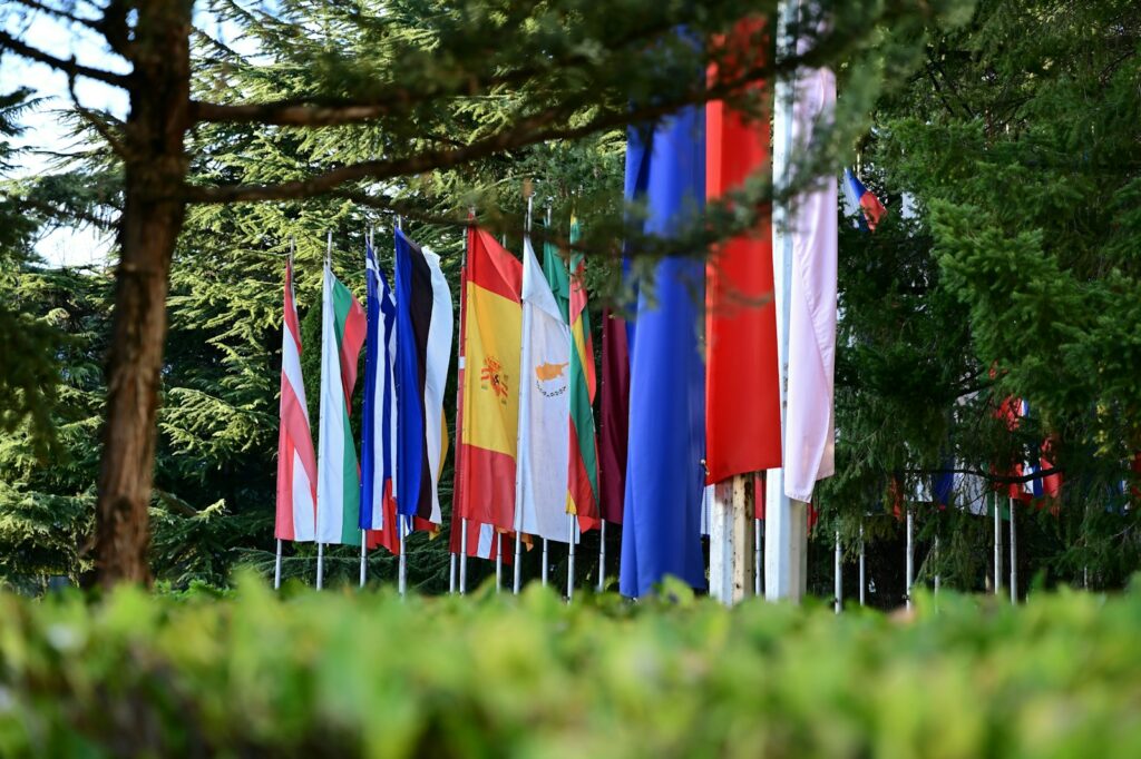 EU tackles VAT fraud costing billions with new rules on data sharing