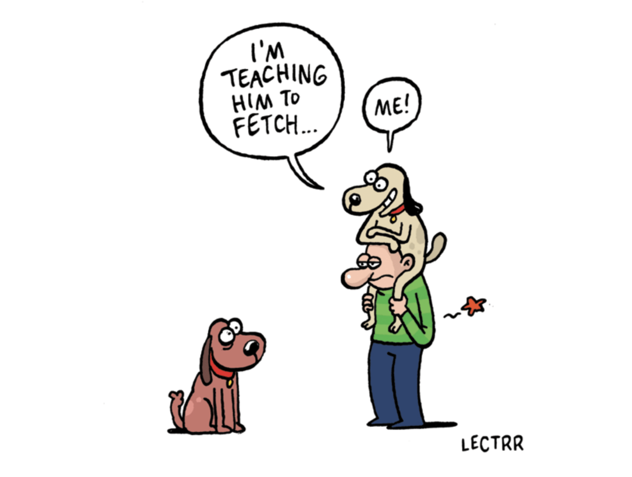 From groin to growl: How a hernia and a hapless hound tested Belgian healthcare