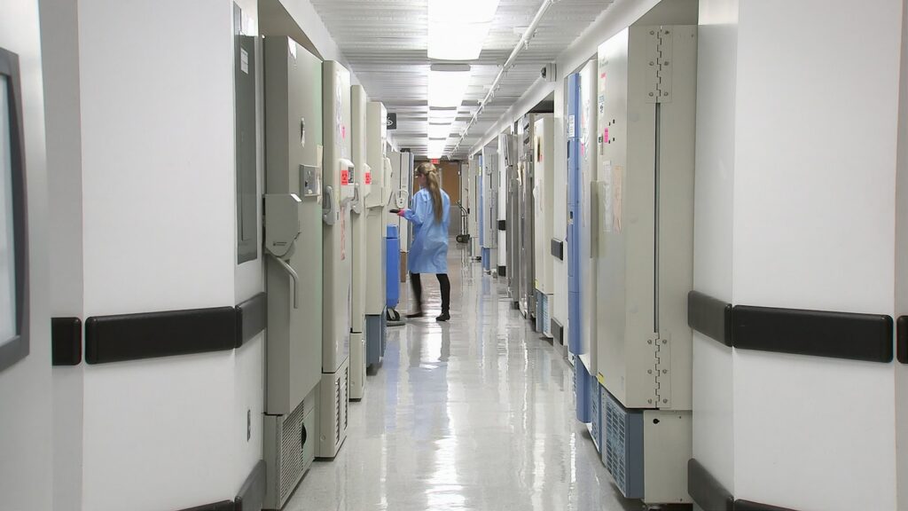 Suspected €11.5m fraud linked to Czech hospital contracts sparks police raids