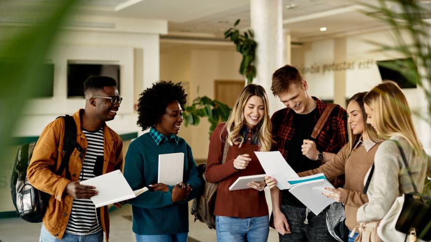How does the Erasmus scheme work?