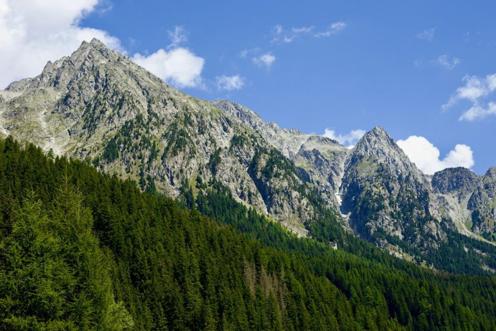EU’s nature network shields €300b in resources, 4.4 million jobs