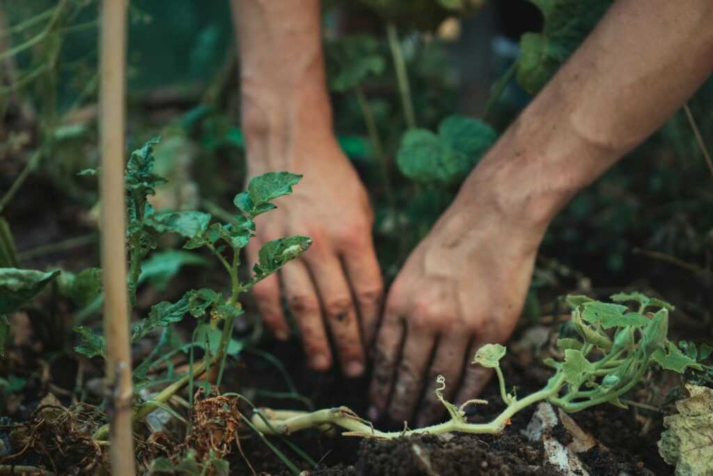 EU strikes deal on plant material rules, balancing biodiversity and innovation