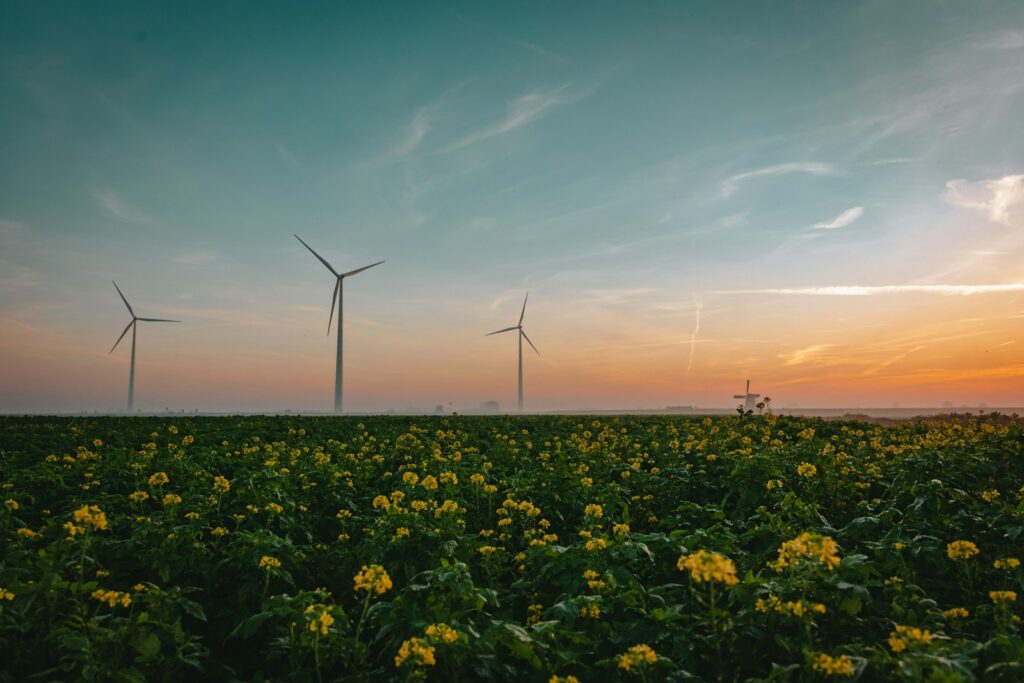 EU urged to establish legal right to sustainable environment amid rising risks