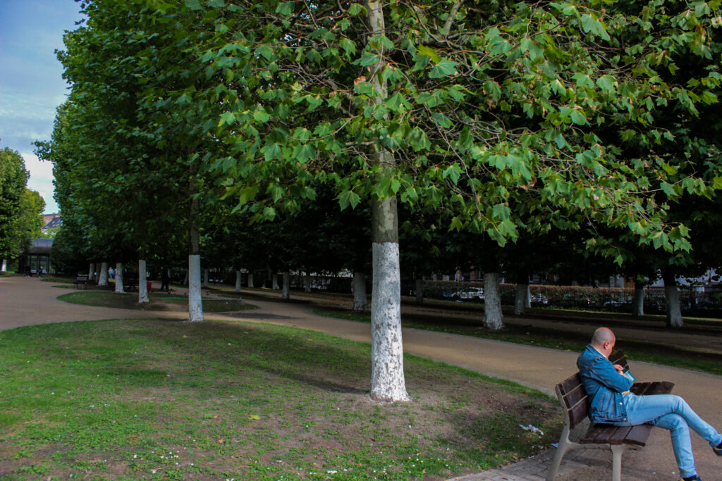 Brussels accelerates push for greener and fairer city, annual report says