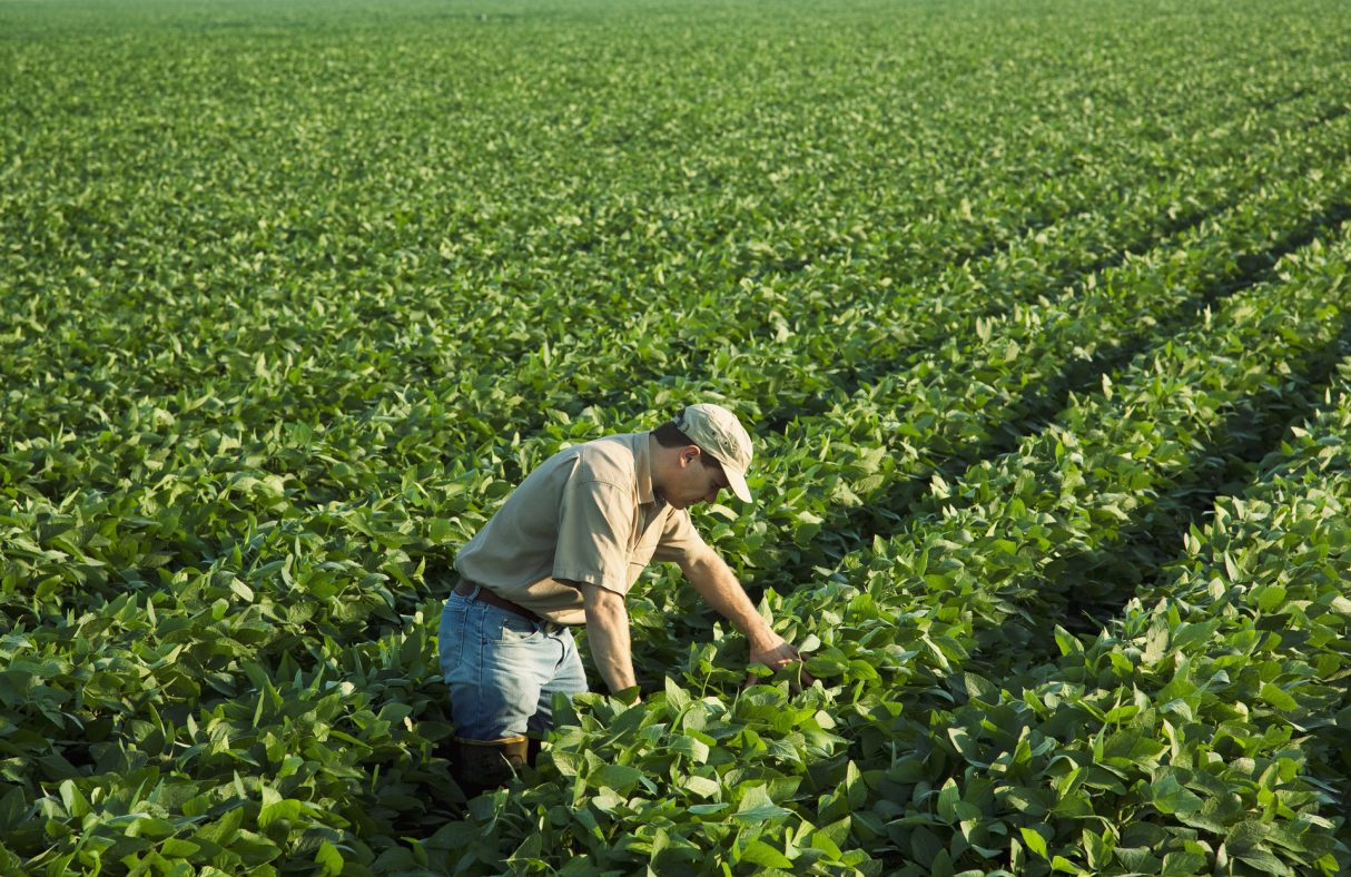 Europe has a chance to accelerate biocontrol: it must not miss it!