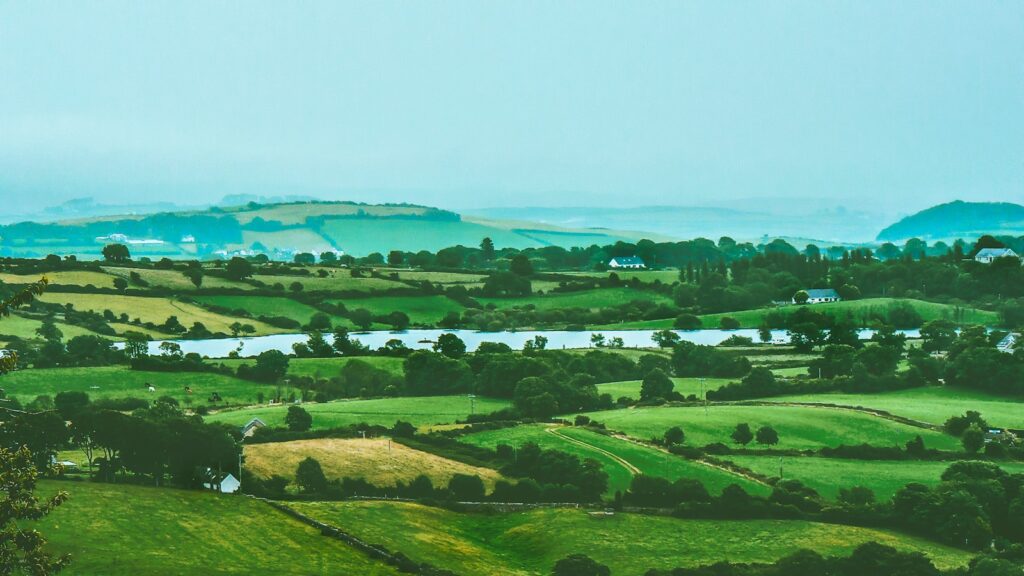 EU okays €85m Irish state aid for farmers as fuel prices surge 60%