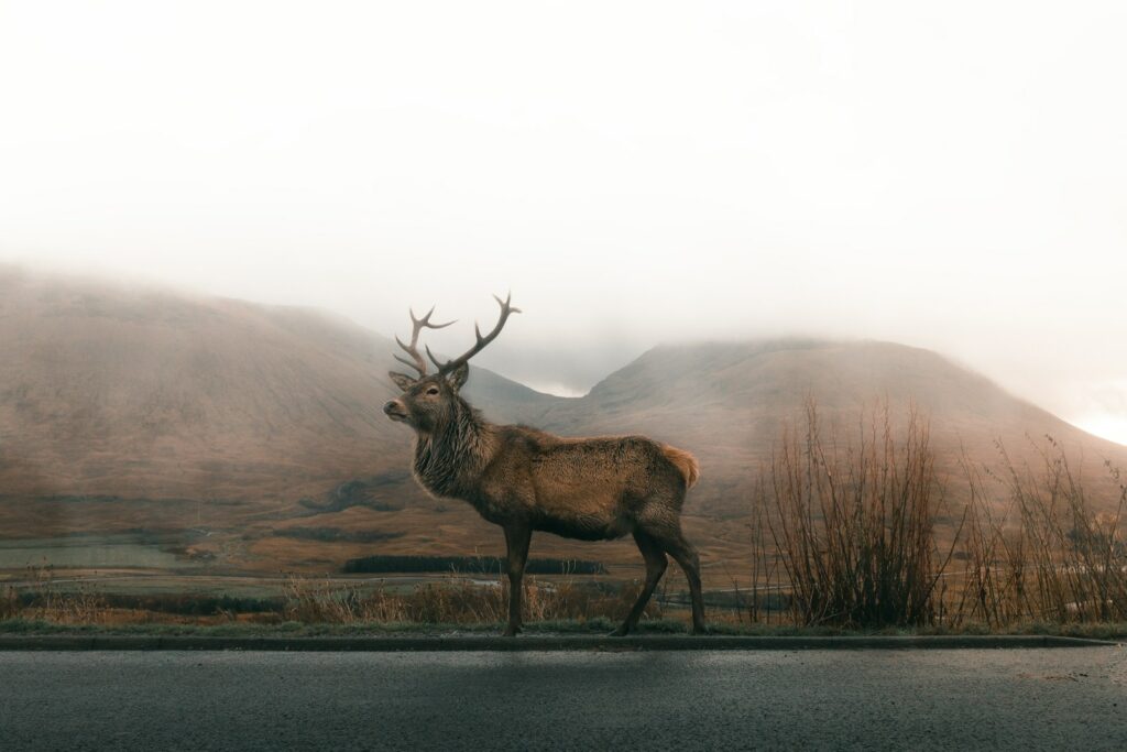 90% of EU residents say biodiversity protection is key to health and prosperity