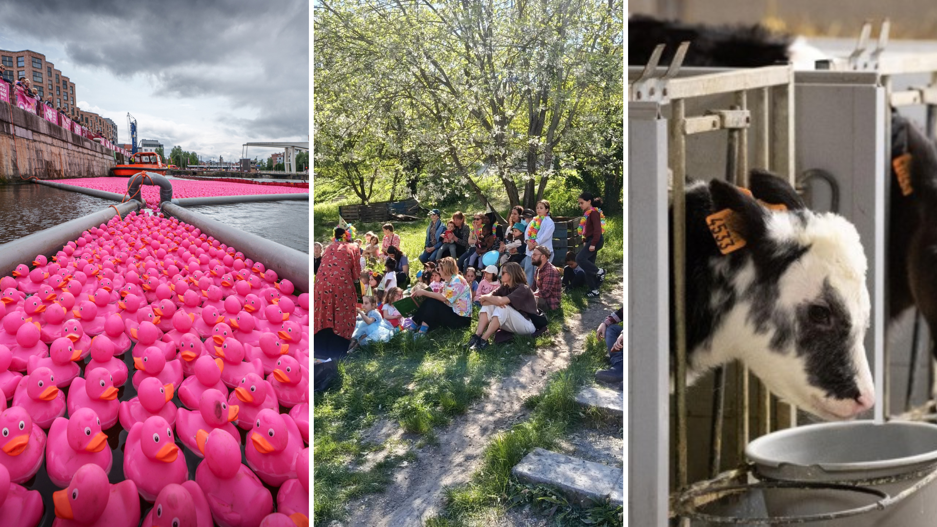 Brussels for kids: What to do with your family this weekend – 27 to 28 June