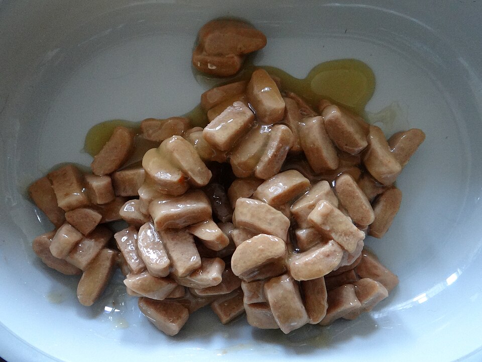 Various pet foods recalled due to possible presence of plastic