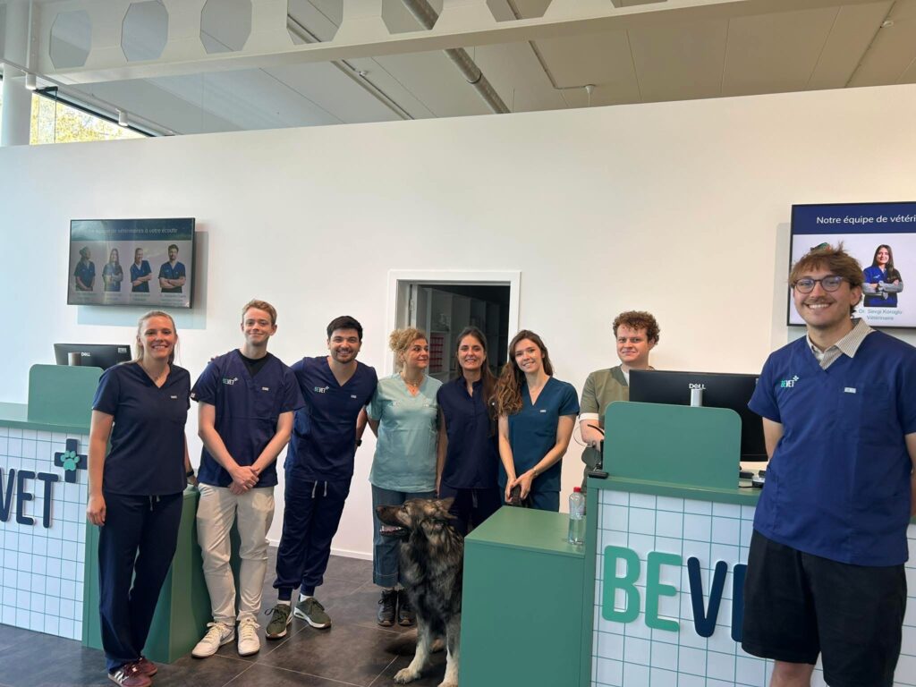 'More people own pets': Brussels' 24/7 veterinary emergency clinic sparked by growing demand