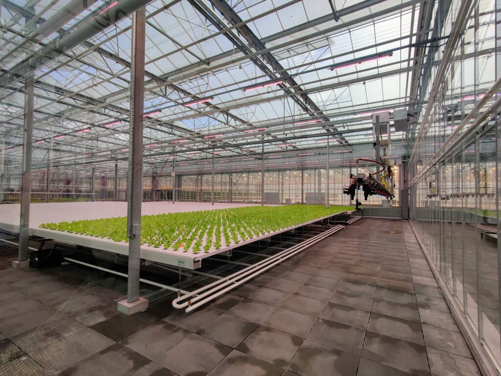 Flanders Institute for Biotechnology welcomes EU approval of new gene-editing rules