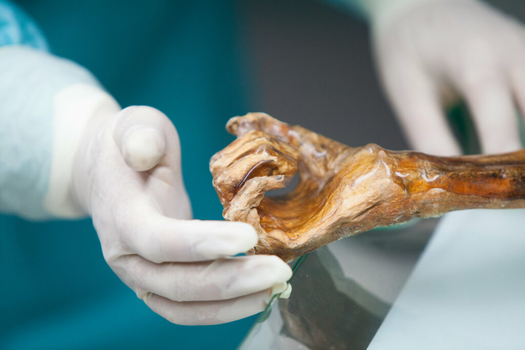 Team of scientists extract yeast from prehistoric mummy to bake 'very good' bread