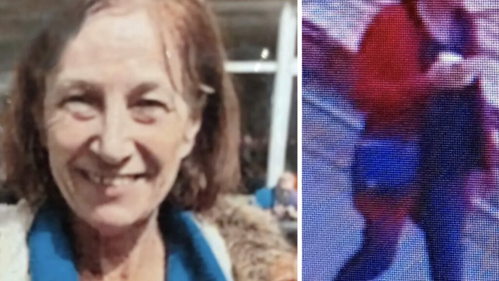 Police appeal for help to trace elderly woman last seen leaving Brussels hospital
