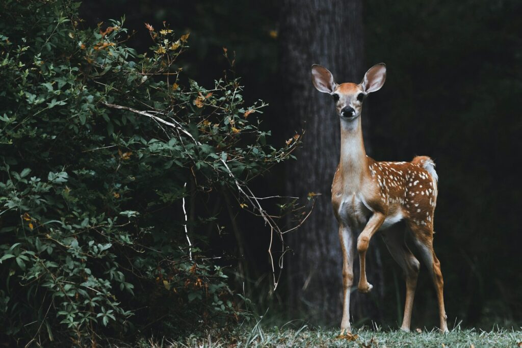 EU warns of €100b cost of inaction on climate and ecosystems by 2029