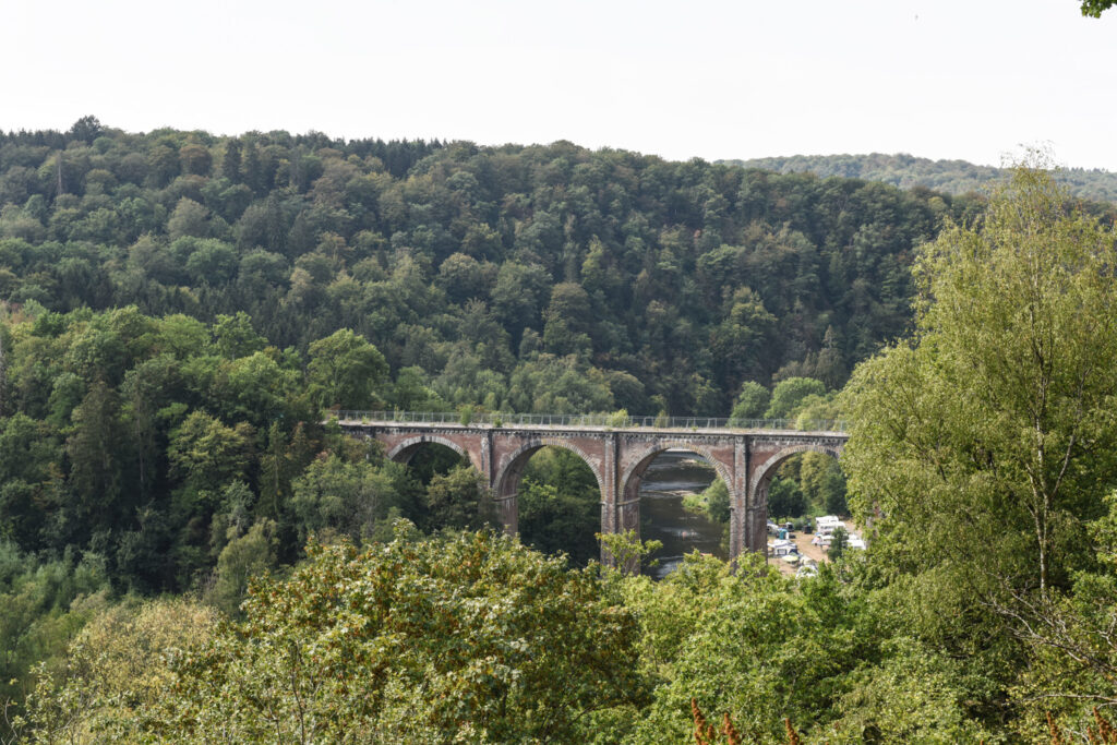 First interactive map of Wallonia's ecologically valuable forests