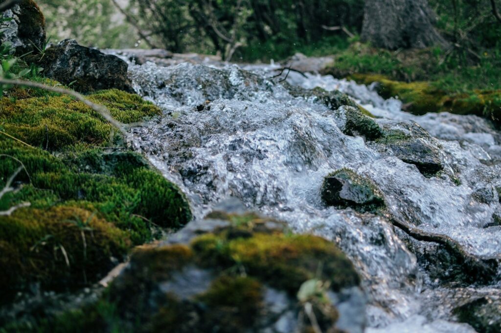 EU setbacks on biodiversity, water spark concern over sustainability progress