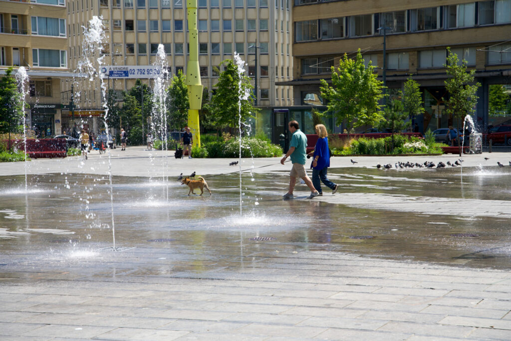 Heat Wave: Brussels steps up its assistance to vulnerable residents