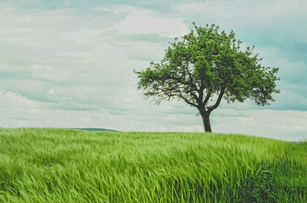 EU green claims directive prioritises guidance over penalties for businesses
