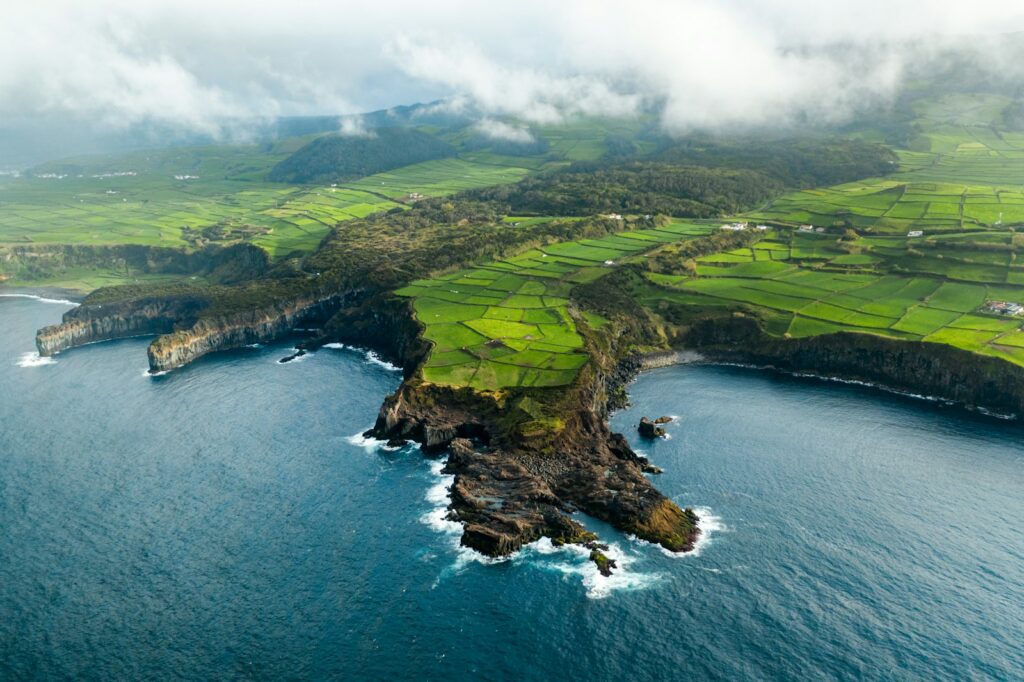 EU-funded expansion turns Azorean firm into global success for remote fish cannery