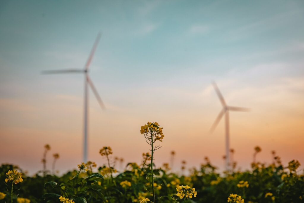 EU slashes sustainability reporting requirements by 70% to ease business burdens