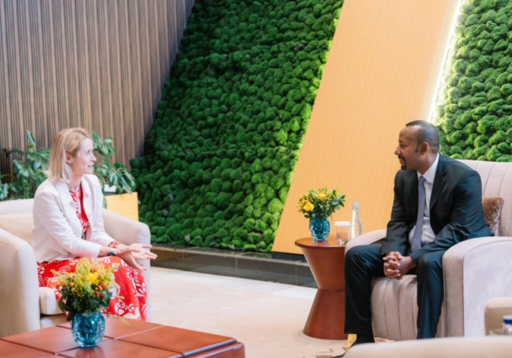 EU and Ethiopia pledge closer ties amid shifting regional security challenges