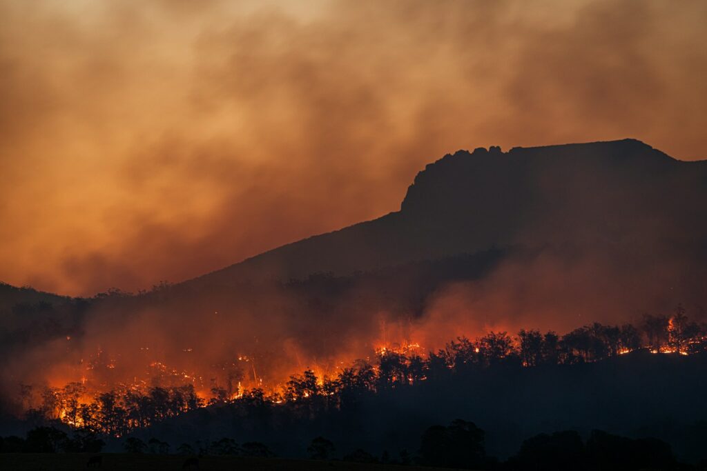 Nearly 300 hectares of vegetation destroyed by wildfire in western France