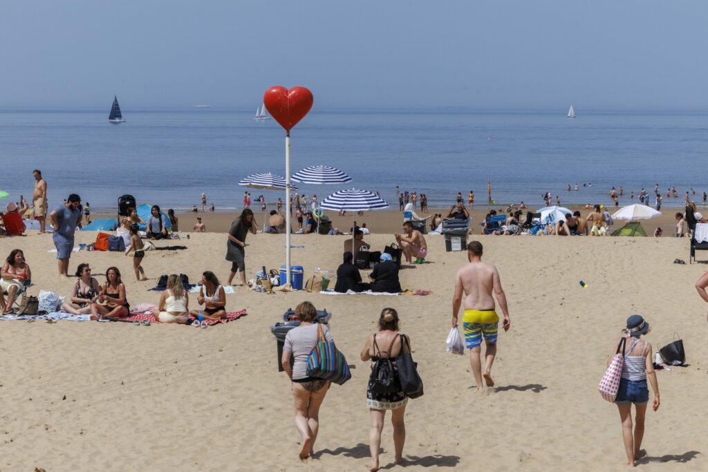 Warming seas see spread of 'flesh-eating bacteria' – what does this mean for Belgium?