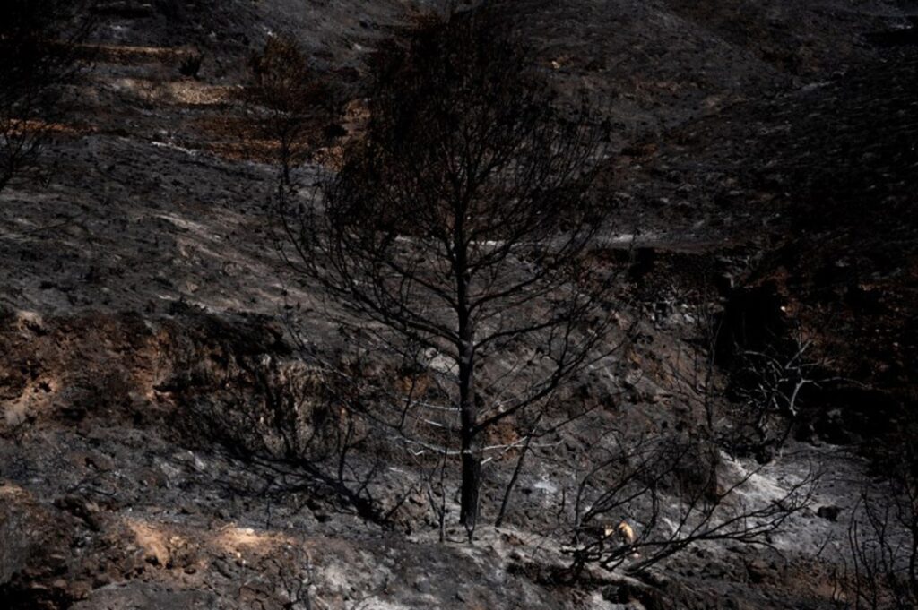 Son of Belgian victim in Spanish wildfire claims no safety advice was given
