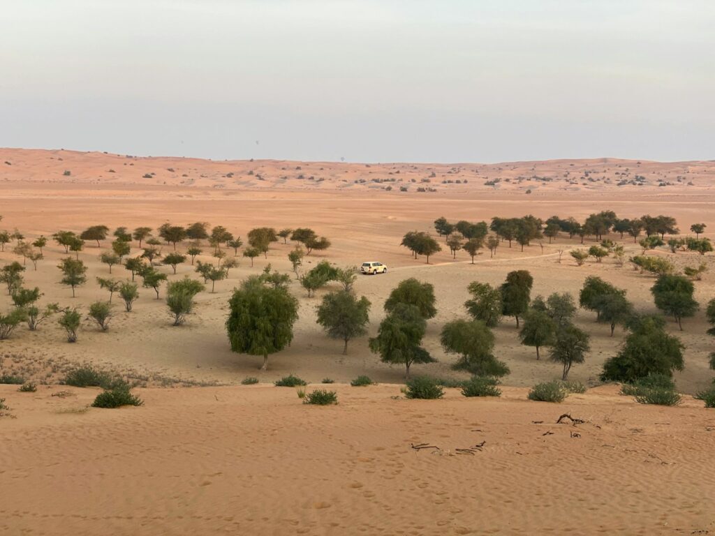Danish diplomat tapped to lead EU strategy in conflict-stricken Sahel