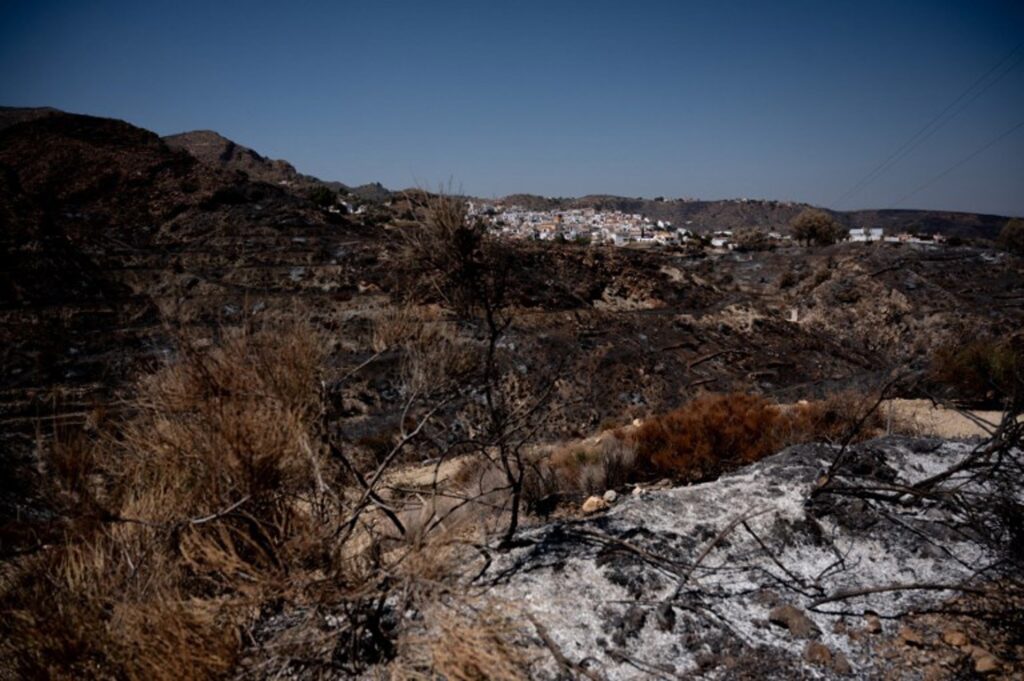 Three Belgian victims of the forest fires in Andalusia confirmed