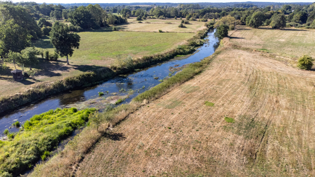 Walloon municipalities face wildfire risk, drought and water restrictions