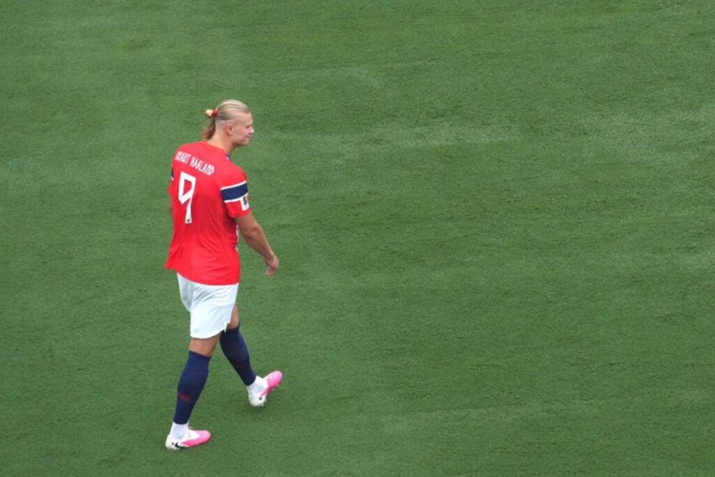 FIFA sells pieces of grass from World Cup final field starting at €390