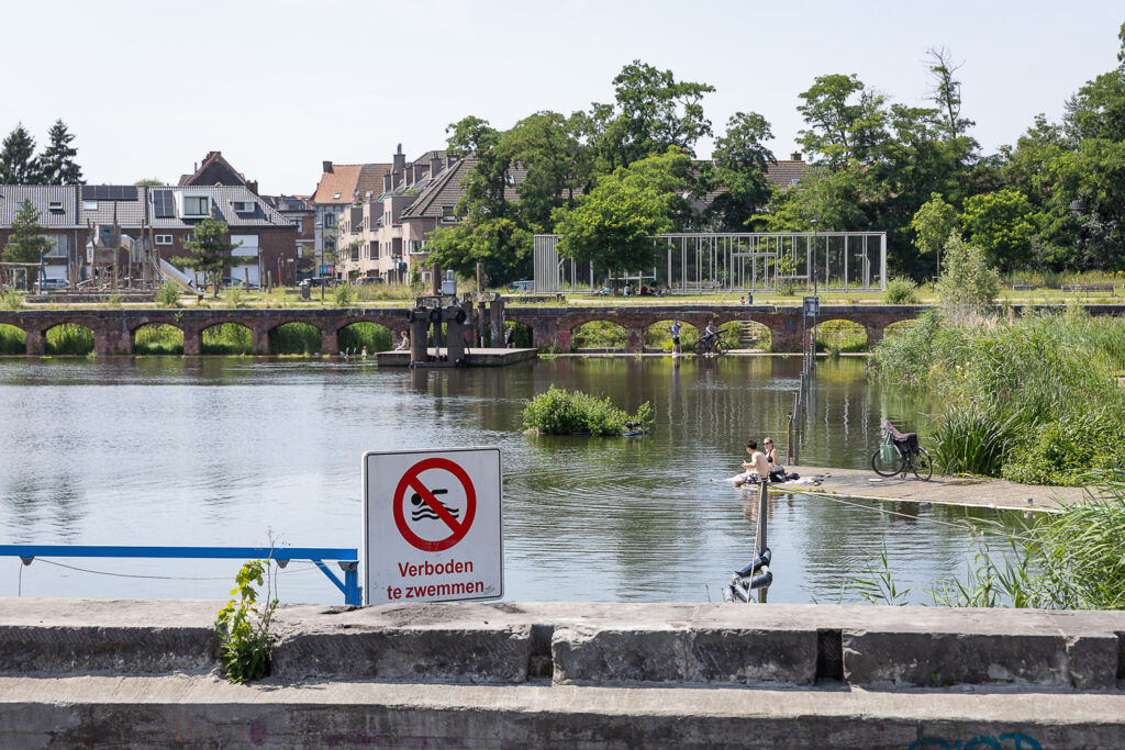 Blue-green algae in Flemish waters prompts health warnings