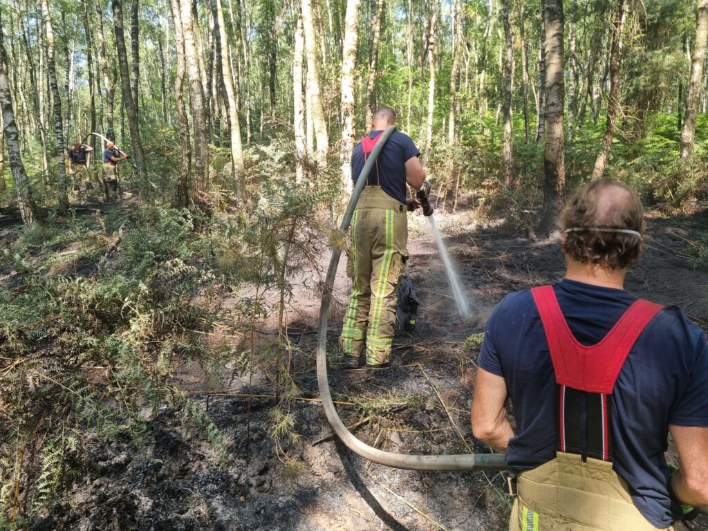 It's not just France or Spain: Belgium has already had 117 wildfires this year