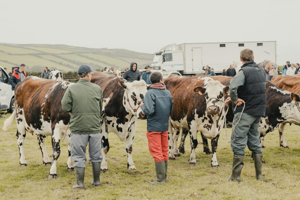 EU says farmers missing key opportunities under competition law exemptions
