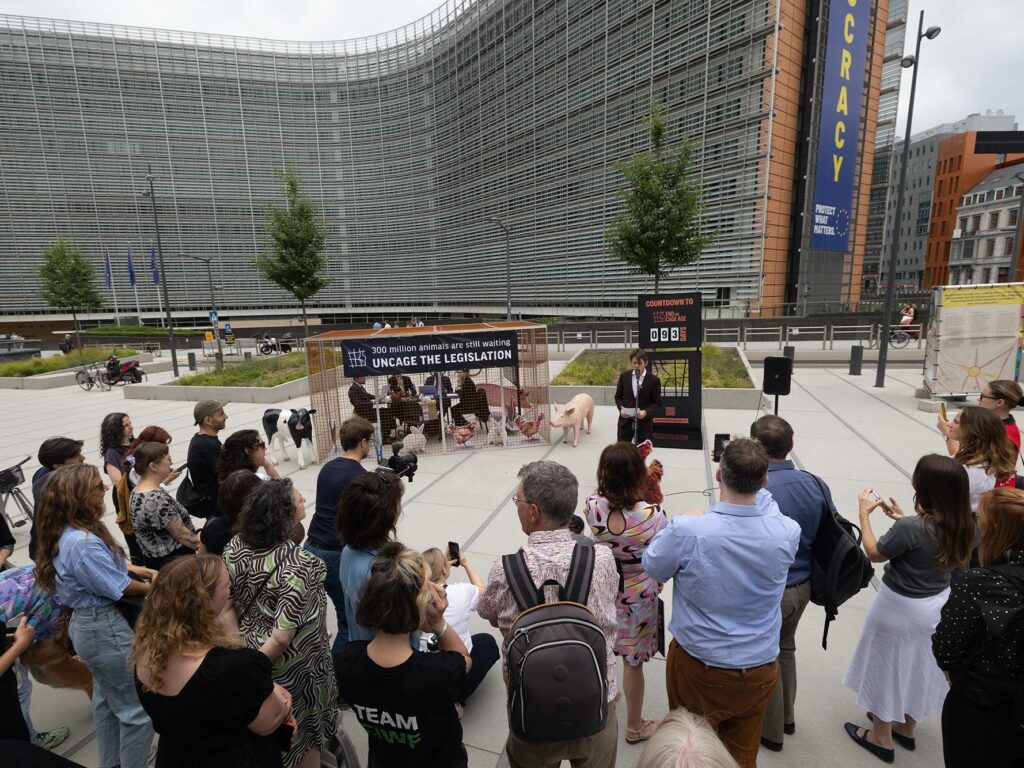 Uncage EU legislation: MEPs protest against caging of farmed animals