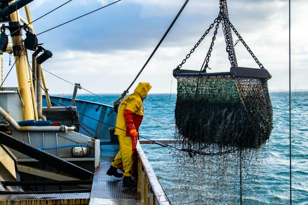 Sweden tries out light-guided trawls with EU funding to protect marine habitats