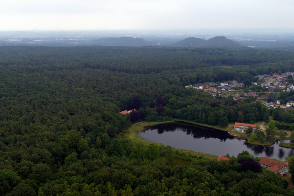 Firefighters battle a 6.5-hectare wildfire in Belgian Limburg