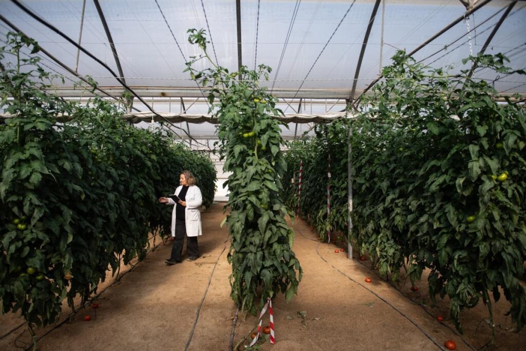 Brussels faces test over farm red tape and food safety