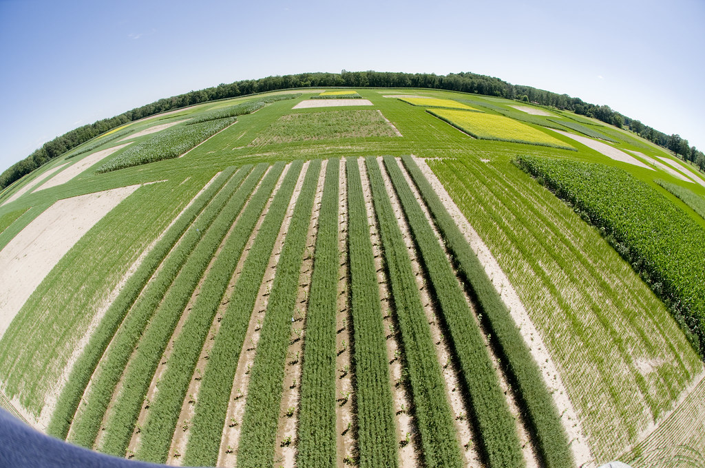 Limited EU impact clears way for UK-Hong Kong green methanol partnership