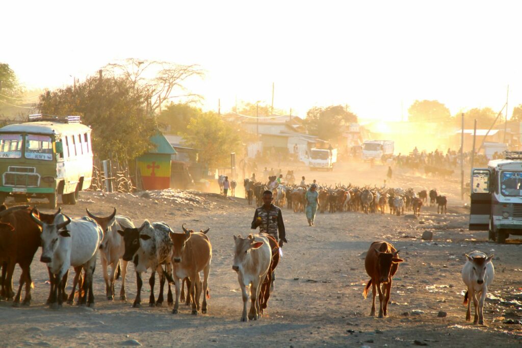 EU, Western missions back AU-led talks as tensions rise in Ethiopia's Tigray