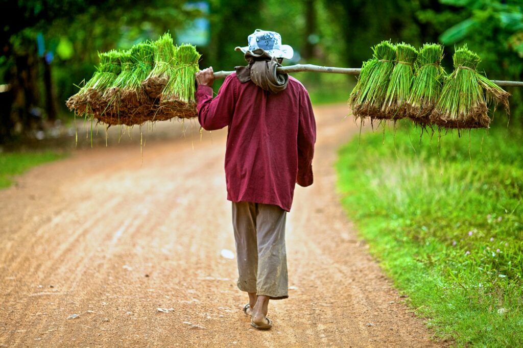 EU and Cambodia forge new farming ties amid sustainability and export push
