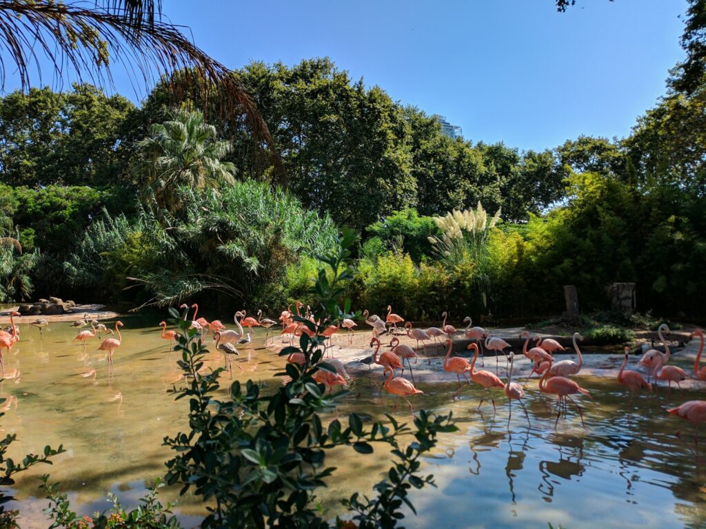 European zoos test water reuse systems as EU sounds scarcity alarm