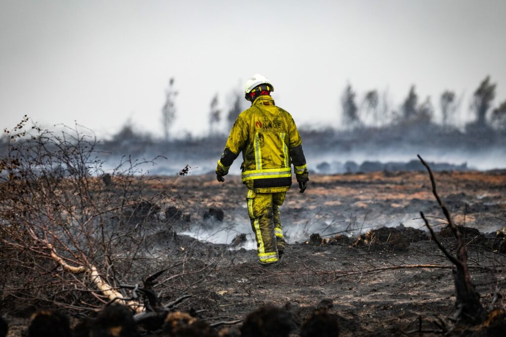 How banks worsen forest destruction in Europe and abroad