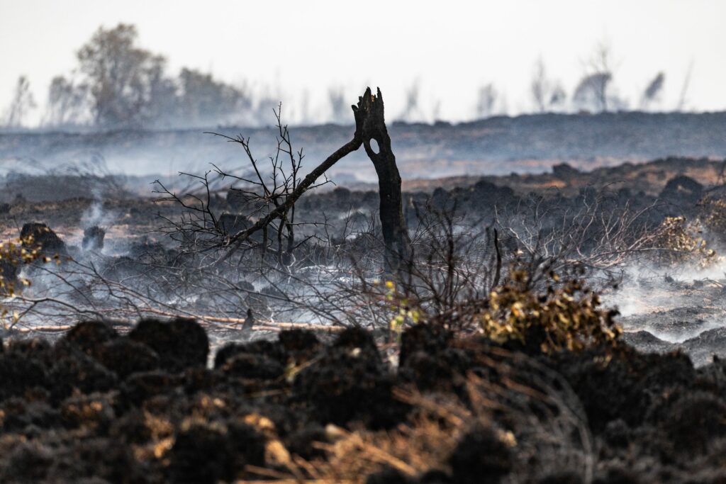 Belgium warned of lack of resources to combat wildfires in March report