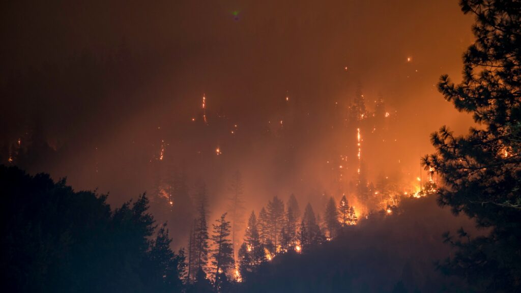 Wildfires twice the usual scale spark unprecedented EU crisis response