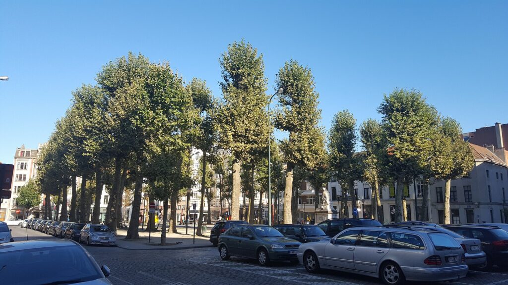 Brussels plans to completely redesign the Place du Nouveau Marché aux Grains in 2027