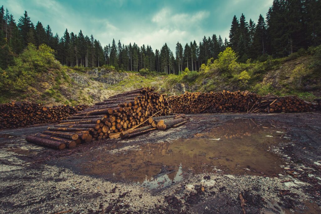 EU approves joint control of Hancock timber assets in Chile